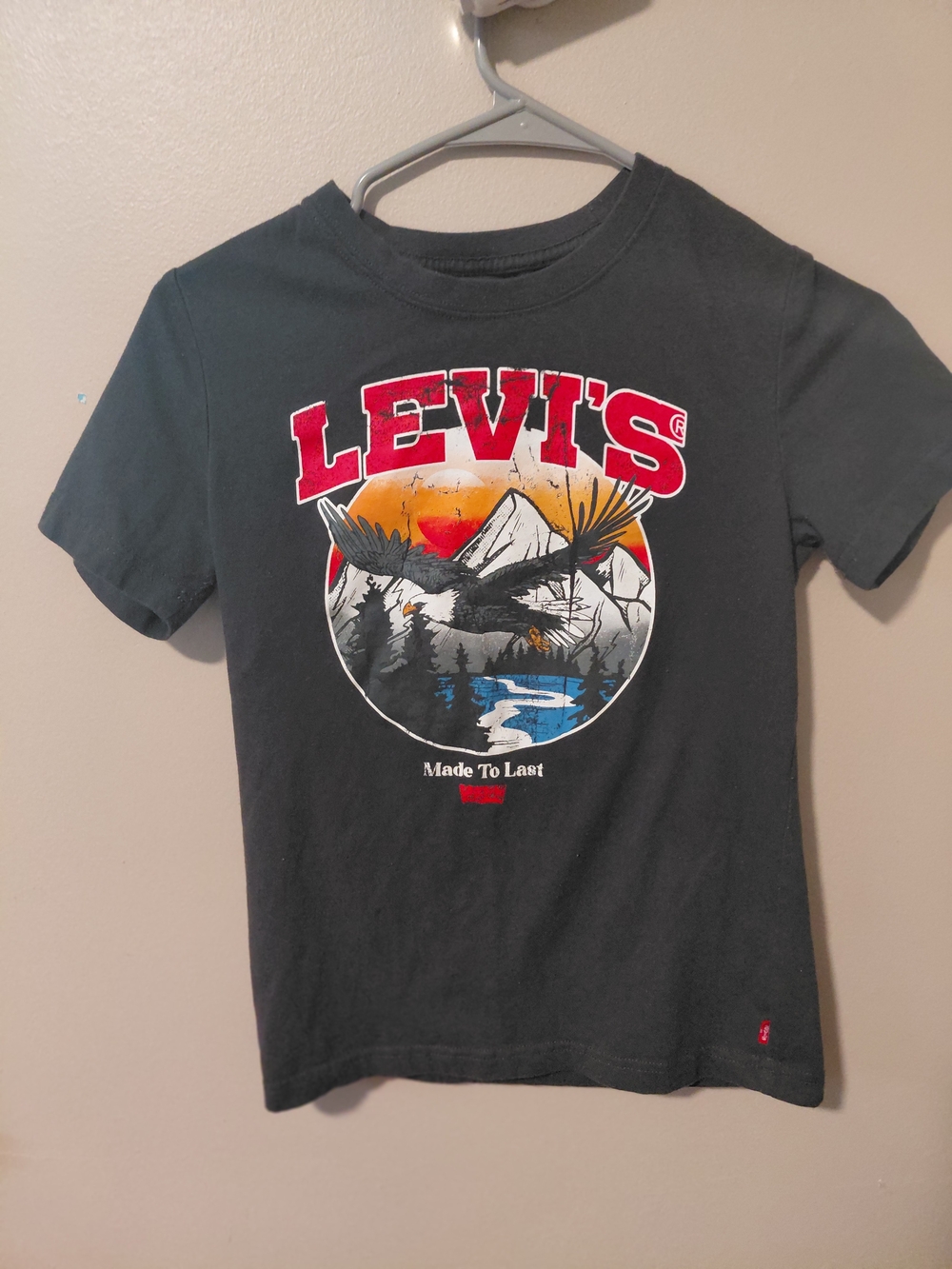 Levi's Gray Graphic Tee with Mountain Eagle Scene